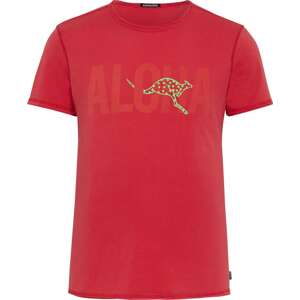 Funkční tričko Chiemsee červená