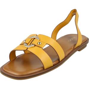 Sandály 'FANDRA' ALDO zlatě žlutá