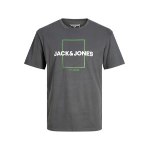 Tričko 'EXPLORED' jack & jones tmavě šedá / světle zelená / bílá