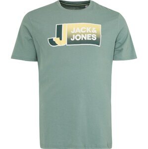 Tričko Jack & Jones Plus pastelově zelená / mix barev