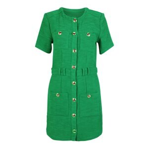 ONLY Košilové šaty 'AUBURN ARIZA' trávově zelená