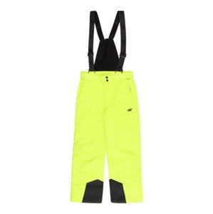 4F Sportovní kalhoty  světle zelená / černá