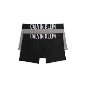 Calvin Klein Underwear Spodní prádlo šedá / černá