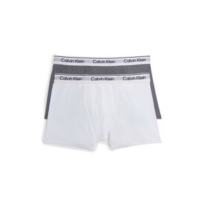 Calvin Klein Underwear Spodní prádlo  šedá / bílá