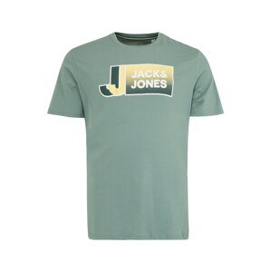 Jack & Jones Plus Tričko pastelově zelená / mix barev