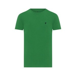 DENIM CULTURE Tričko 'Barris' námořnická modř / zelená