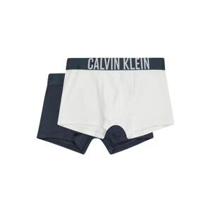 Calvin Klein Underwear Spodní prádlo  námořnická modř / bílá