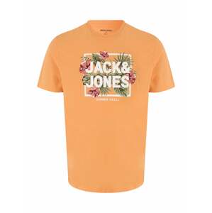 Jack & Jones Plus Tričko 'BECS' tmavě zelená / oranžová / starorůžová / offwhite