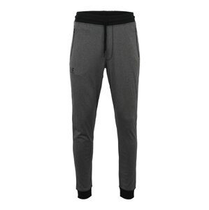 UNDER ARMOUR Sportovní kalhoty  tmavě šedá / černá