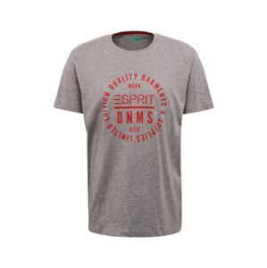 ESPRIT Shirt 'SG-990EE2K305'  šedá