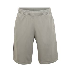 UNDER ARMOUR Sportovní kalhoty 'MK1 Graphic Shorts'  šedá / černá