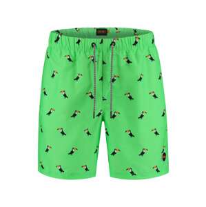 Shiwi Plavecké šortky  zelená