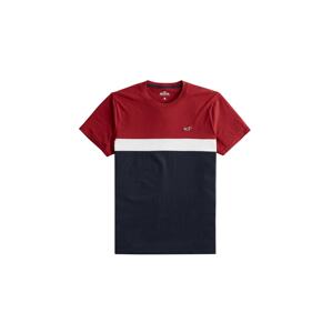 HOLLISTER Tričko  bílá / červená / námořnická modř
