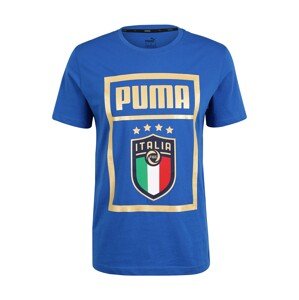 PUMA Funkční tričko  modrá / mix barev