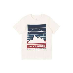 Jack & Jones Junior Tričko 'DEHSEL'  bílá / mix barev