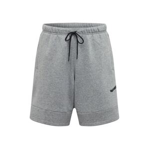 Jordan Sportovní kalhoty  šedá / černá