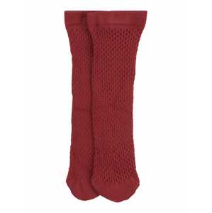 Swedish Stockings Jemné punčochy 'Vera'  vínově červená