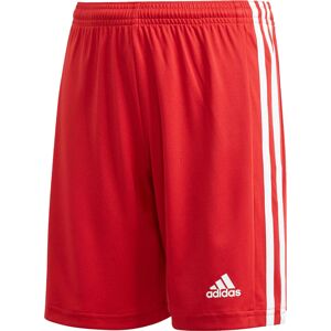 ADIDAS PERFORMANCE Sportovní kalhoty 'Squadra 21'  červená / bílá