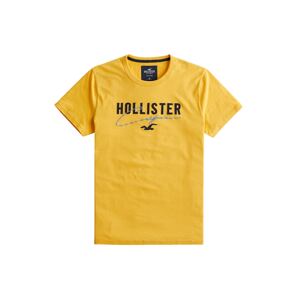HOLLISTER Tričko  černá / opálová / žlutá