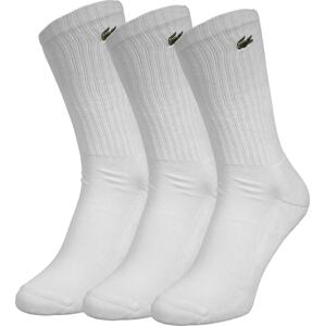 LACOSTE Ponožky  bílá