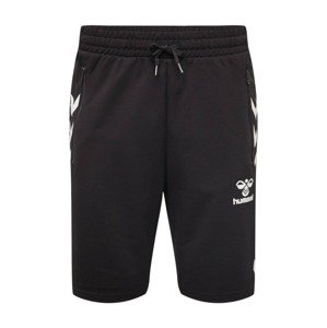 Hummel Sportovní kalhoty 'Ray 2.0'  černá / bílá
