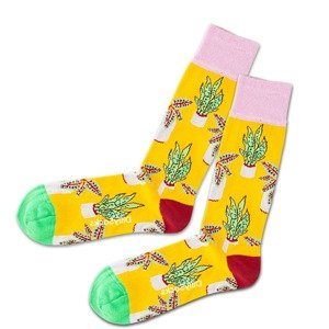 DillySocks Ponožky 'Beach Pottery'  zlatě žlutá / světle fialová / bílá / světle zelená / pueblo