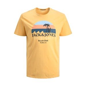 Jack & Jones Plus T-Shirt 'Cabana'  šafrán / světlemodrá / mandarinkoná / námořnická modř / bílá