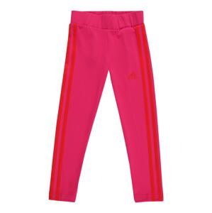 ADIDAS PERFORMANCE Sportovní kalhoty  tmavě růžová / červená