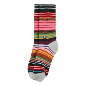 Stance Sportovní ponožky 'PALETTE'  mix barev