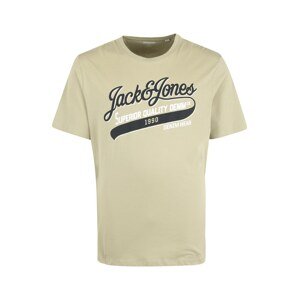 Jack & Jones Plus Tričko  rákos / černá / bílá