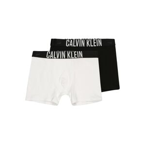 Calvin Klein Underwear Spodní prádlo 'Intense Power '  černá / bílá