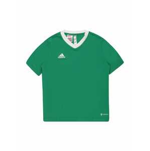 ADIDAS PERFORMANCE Funkční tričko  trávově zelená / bílá