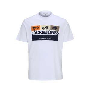 Jack & Jones Plus Tričko 'Malibu'  mix barev / bílá