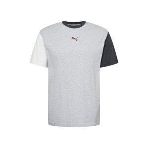 PUMA Funkční tričko  světle šedá / červená / černá / bílá