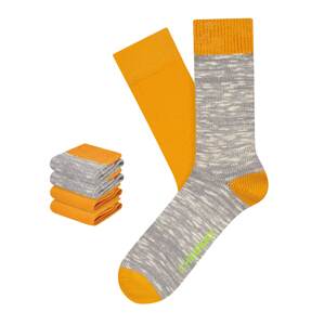 CHEERIO* Ponožky 'Boot Buddy 4P' béžová / žlutá / šedá