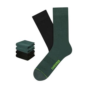 CHEERIO* Ponožky 'Best Friend 4P' zelená / tmavě zelená / černá