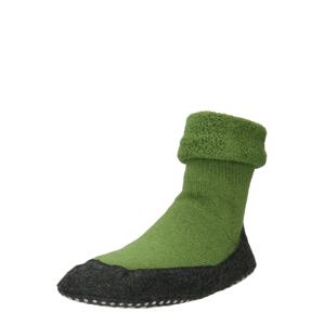 FALKE Ponožky  antracitová / kiwi